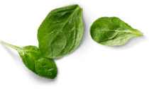 basil leaves