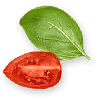 tomato and basil leaf