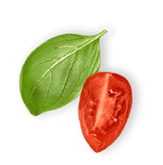 tomato with basil leaf